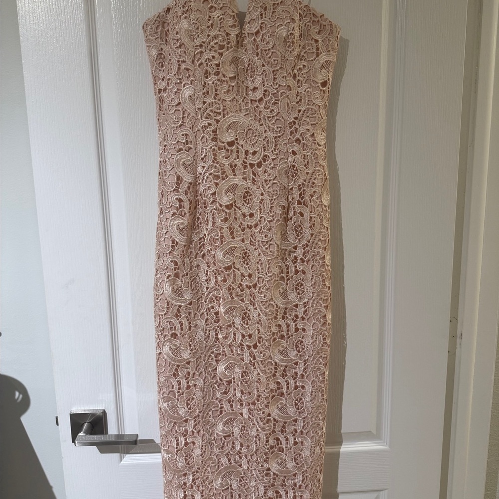 Aidan Mattox Pink Crochet Lace Strapless Side Slit